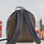Louis vuitton Palm Springs Backpack MM M41560 Black